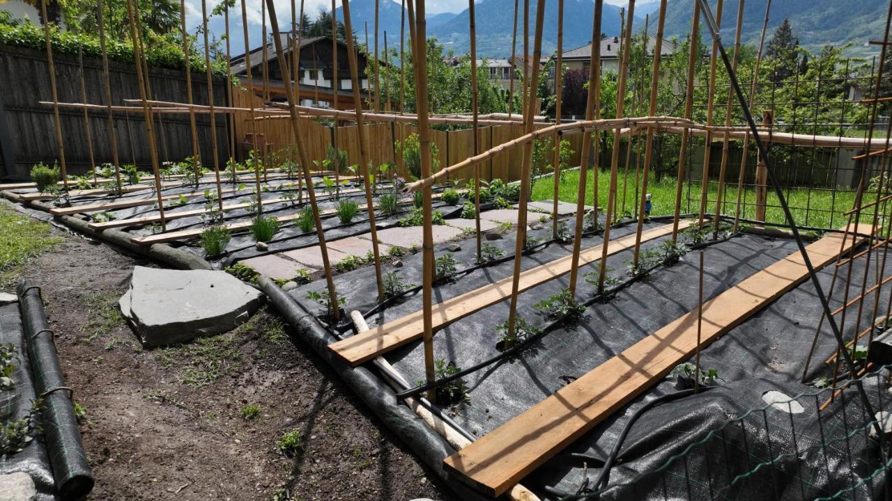 Nora S Home 2 - Panoramic Terrace & Bio Garden 梅拉诺 外观 照片