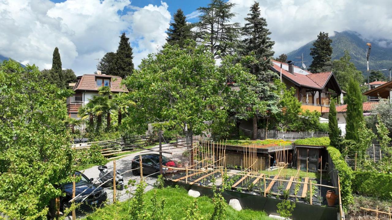 Nora S Home 2 - Panoramic Terrace & Bio Garden 梅拉诺 外观 照片